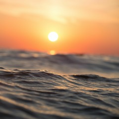 Whoosh Went The Wind