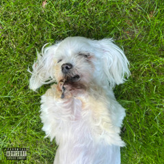 miloscwtg prod. @lovekelo