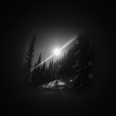 Apricity