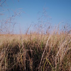 Por si mañana me voy..