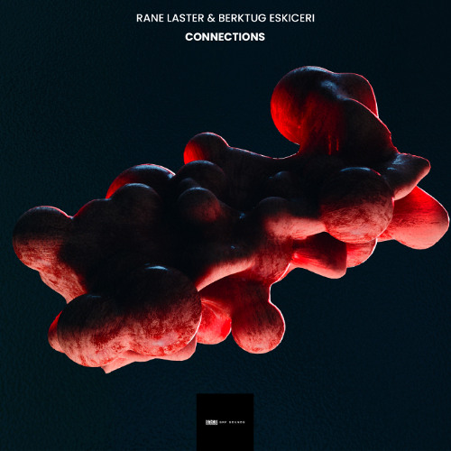 Rane Laster & Berktug Eskiceri - Connections