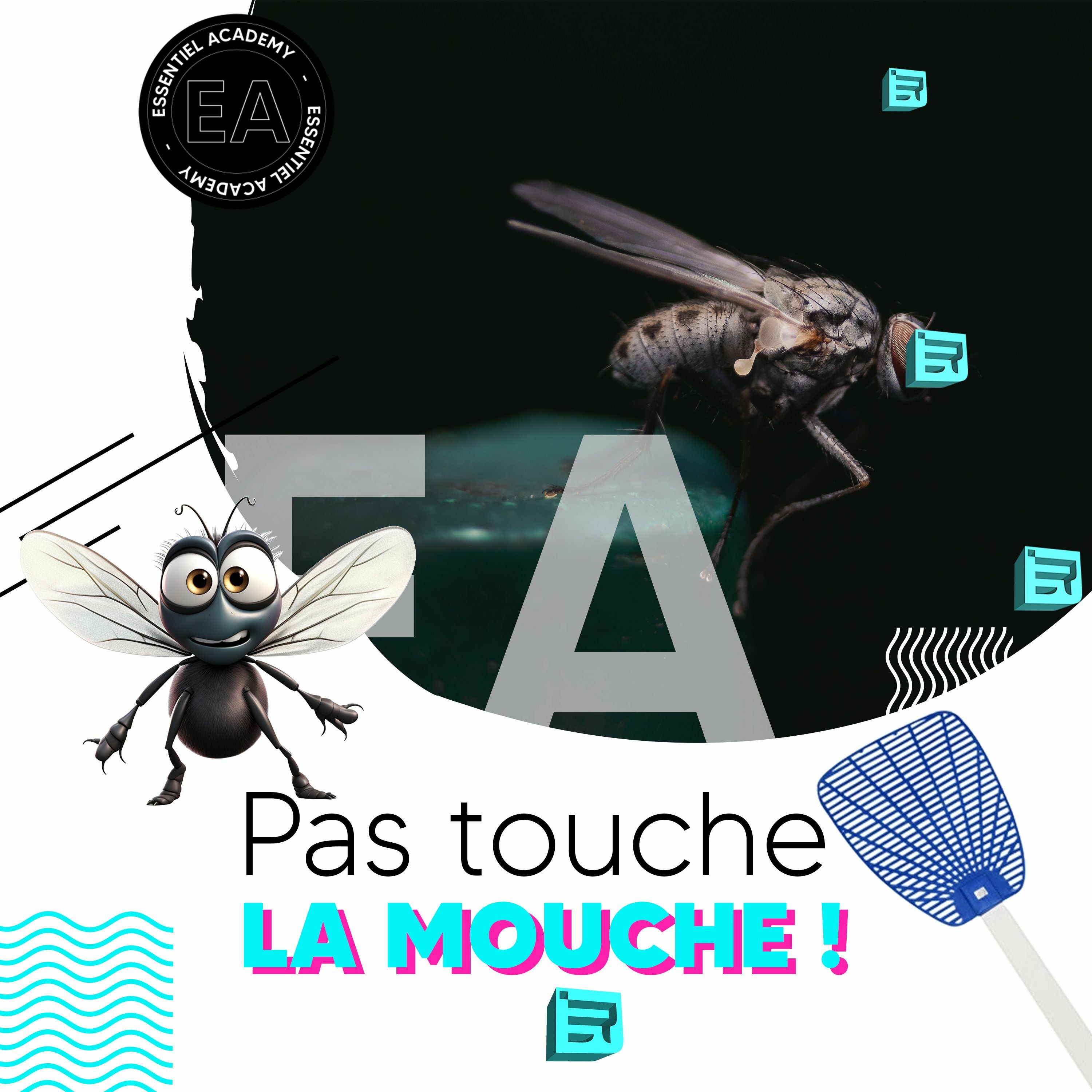 Pas touche la mouche ! - Podcast 15/04 episode artwork