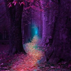 A FairyTale Path // Melodic & Progressive House