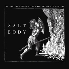 Salt Body