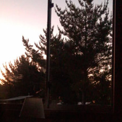 Mini Nuevos Trapos - Charly