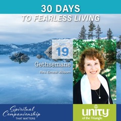 30 Days of Fearless Living: Day 19 l Rev Meemie l Unity of the Triangle l April 19 2020