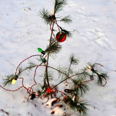 Something about not fitting in.