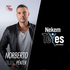 NekemTeYes 2025.01.31 Afro House Set Kecskemét @ Live Set