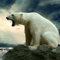 Polar Bears (intrumental)