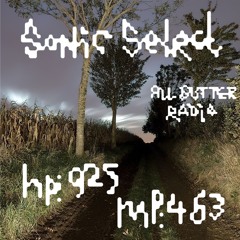 SONIC SELECT_009 ✣ HP: 925 MP: 463 ✣ All Butter Radio
