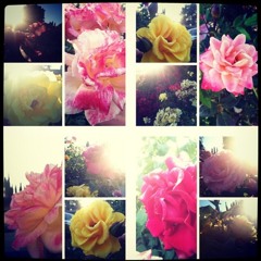 ROSES - REMIX (cover)