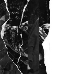 Hanzo Hasashi - JAH I