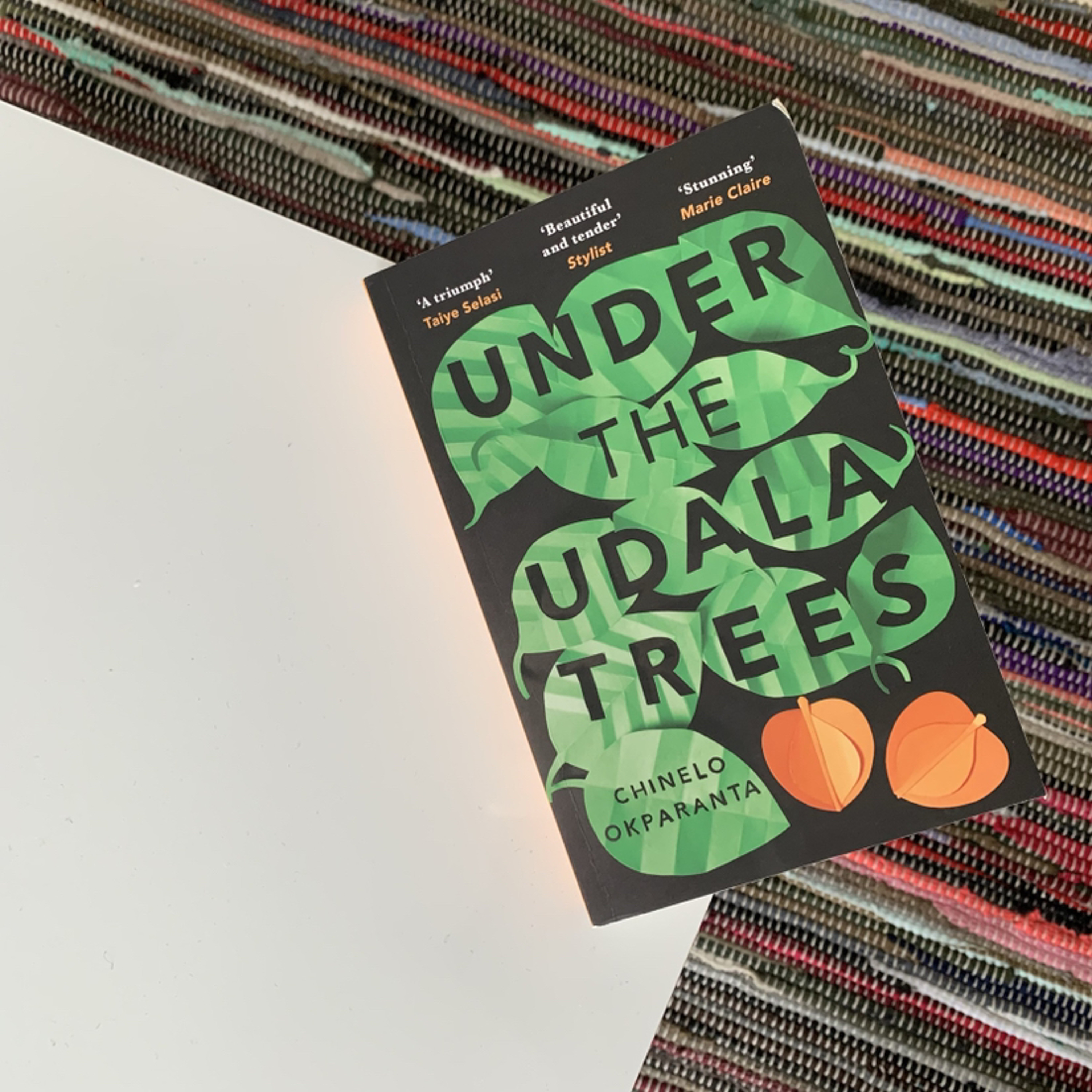 Episode 11 - Under The Udala Trees (Author: Chinelo Okparanta)