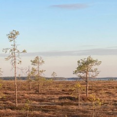 Episode 10 - Pete, David and Patrick - A Night on a Finnish Bog