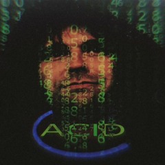 Acid (Original Mix)