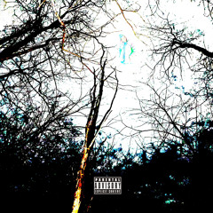 MISFIT [prod.OFFLINE]
