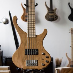 BassLine Buster Classic 5