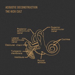 Cochlea