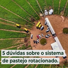 5 dúvidas sobre o sistema de pastejo rotacionado