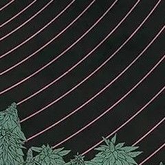 Skeese!  - Funkdoobiest Rock on (TripRemix)