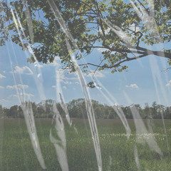 Sunday Forest Walk (Lo-Fi)