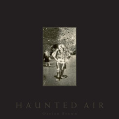 DOWNLOAD EBOOK 📒 Haunted Air by  Ossian Brown,David Lynch,Geoff Cox [EPUB KINDLE PDF