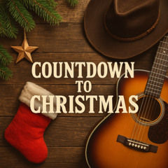 Countdown to Christmas (Sarcastic Version)