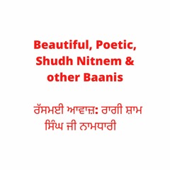 Beautiful, Shudh Nitnem & other Baanis