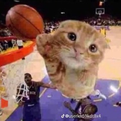 ballin cat