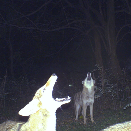 this will find you when you need it