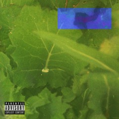 𝐫𝐚𝐰_𝐭𝐚𝐩𝐞𝐬 🍃 [full album]