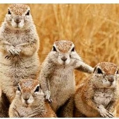 0301 - Under Different - 1