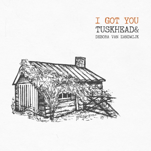 Stream I Got You - feat. Debora van Zandwijk (The White Buffalo cover) by  TuskHead | Listen online for free on SoundCloud