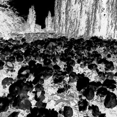 Loving Machine (slightly slowed) - TV Girl