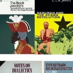 AfricaNow! Mar. 6, 2024 Thinking Through CLR James with Matthew Quest