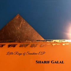 Sharif Galal - Little Rays of Sunshine EP (Suite Grooves)