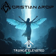 Trance Elevated 017
