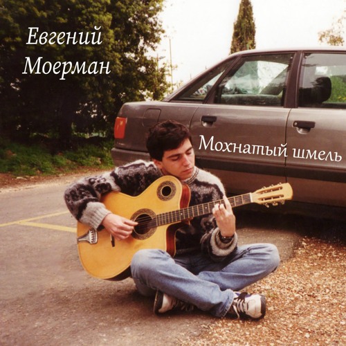Мохнатый Шмель