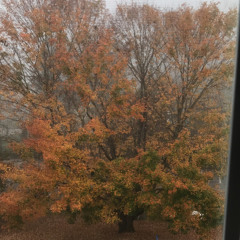 TEMPERMENTAL (ft. K-Bone)