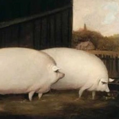 Brother may I have some oats