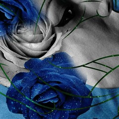 Max Cooper Répétition / Cabaret Nocturne  Dark Pop 2021 - 02 - 01 Remix Blue Rose