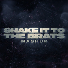 Shake It To The Max Vs Brats