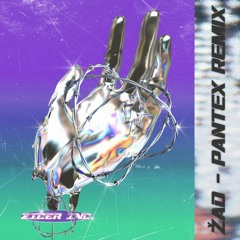 Tam X Summer Deaths - Zad (Pantex Remix)