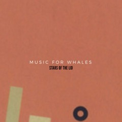 Music For Whales - Also known as Star Of The Lid