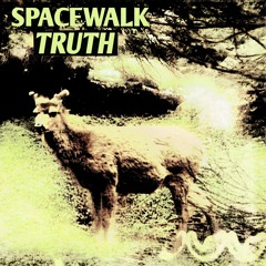 SPACEWALK- Truth (Radio Mix)