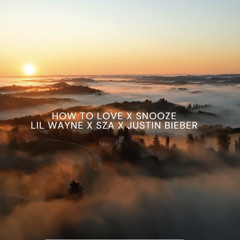 HOW TO LOVE X SNOOZE - LIL WAYNE X SZA X JUSTIN BIEBER