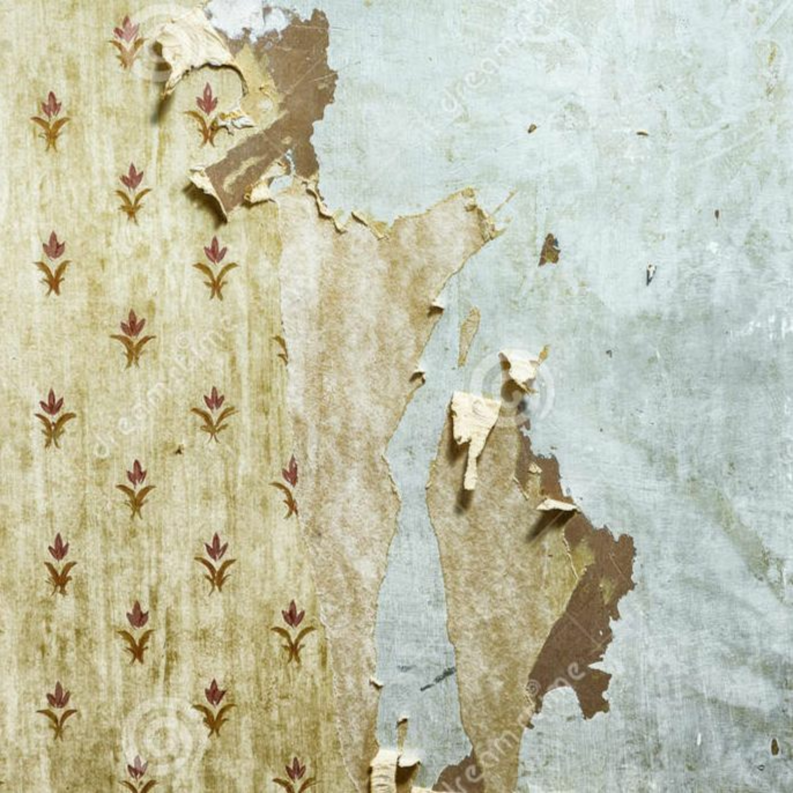 Disuse; Disrepair2 episode artwork