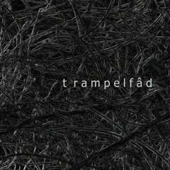 Insect Music V4lv3 FM