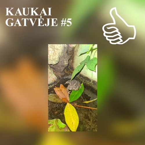 KAUKAI GATVĖJE #5