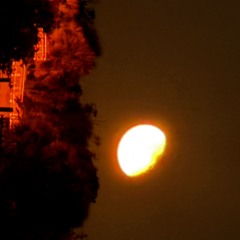 Solo by Clara La San (cover by Jadeyn Lorentzen)